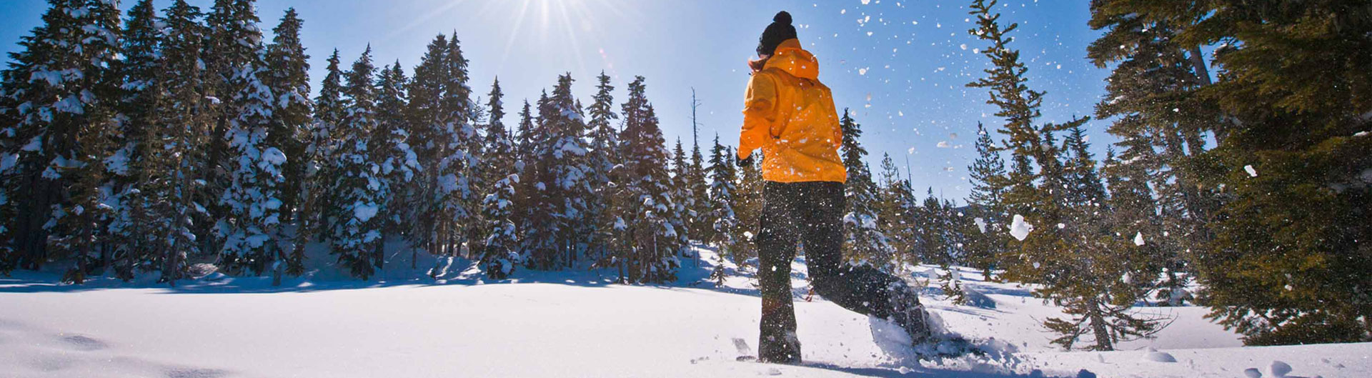 Snowshoe Rentals